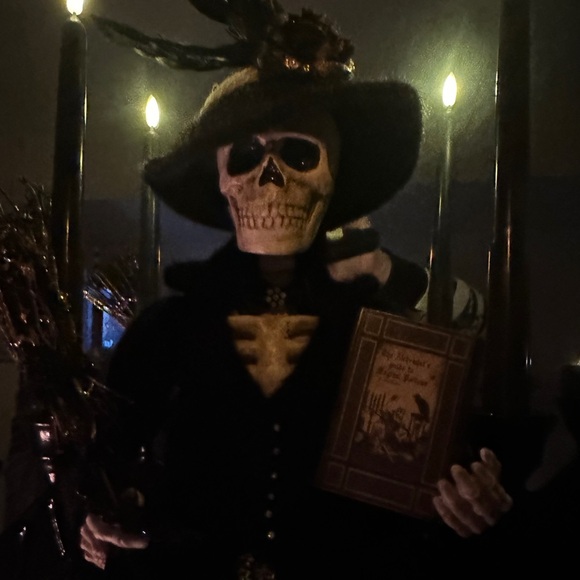 27” Golden Touch Skeleton Lady Witch - Picture 8 of 10